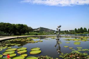 辰山植物園